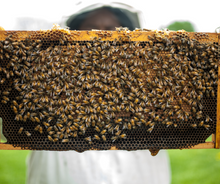Load image into Gallery viewer, Raw Honey