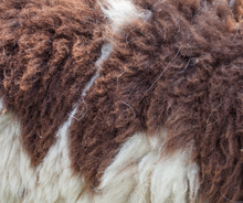 Load image into Gallery viewer, Washable Sheepskins: Brown and Cream
