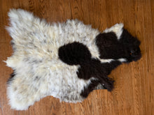 Load image into Gallery viewer, Washable Sheepskins: Brown and Cream