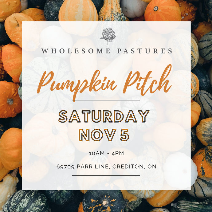Pumpkin Pitch Event: November 5, 2022
